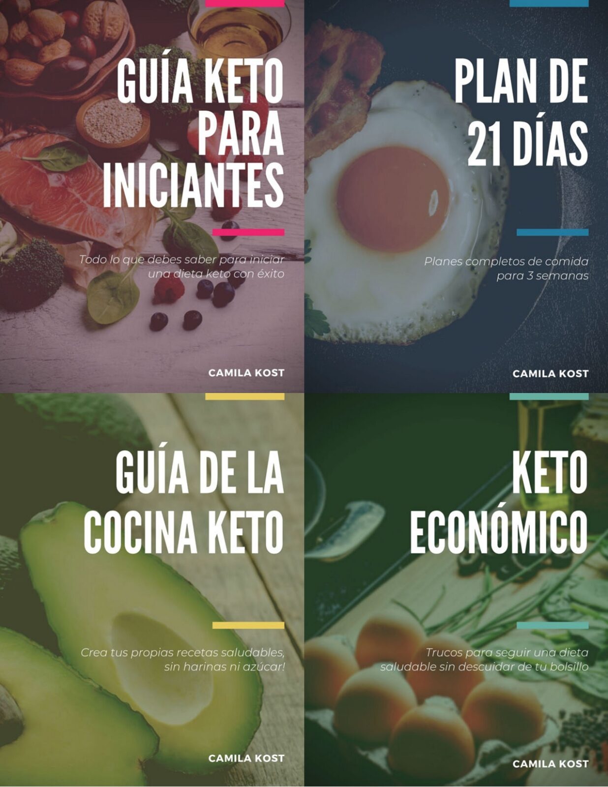 4 en 1 - Guías y Planes